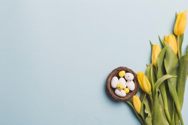 Бесплатное фото Тюльпаны возле гнезда с яйцами