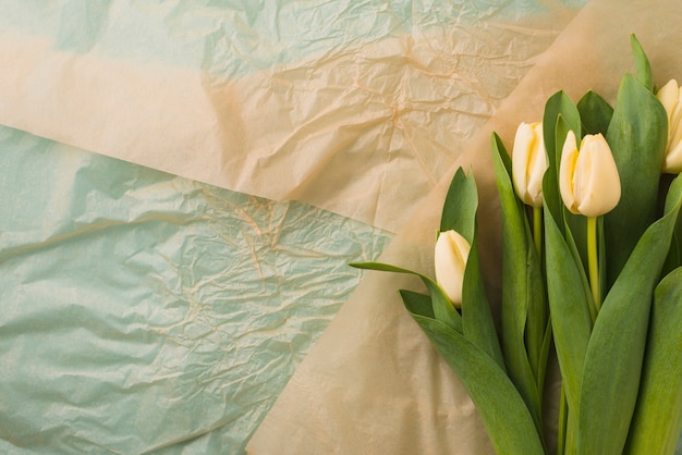 Free photo tulips on paper