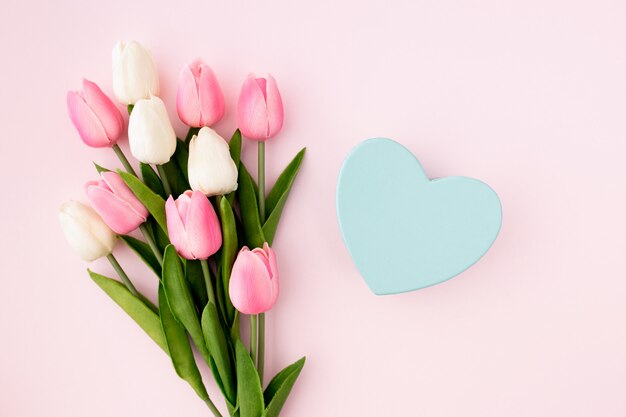 Tulips on pink background flat lay view