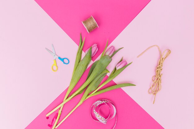 Tulips and ribbon on pink background