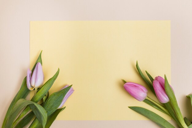 Тюльпаны и желтая чистая бумага