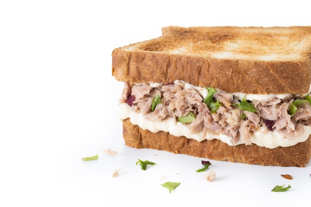 Tuna sandwich with mayo and vegetables isolated on white background