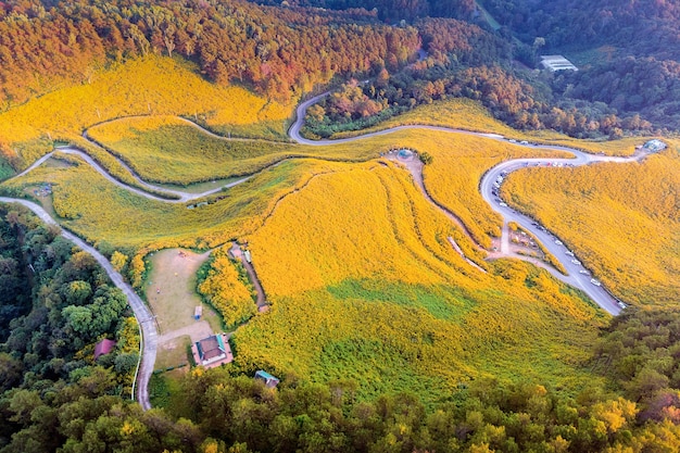 Tung Bua Tong Mexican sunflower field at Mae Hong Son Province in Thailand.