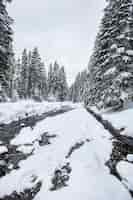 Free photo turbulent river rapids in pictoresque forest during winter. magical landscape