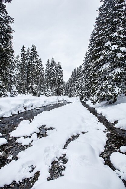 冬の間の絵のような森の乱流の川の急流。魔法の風景