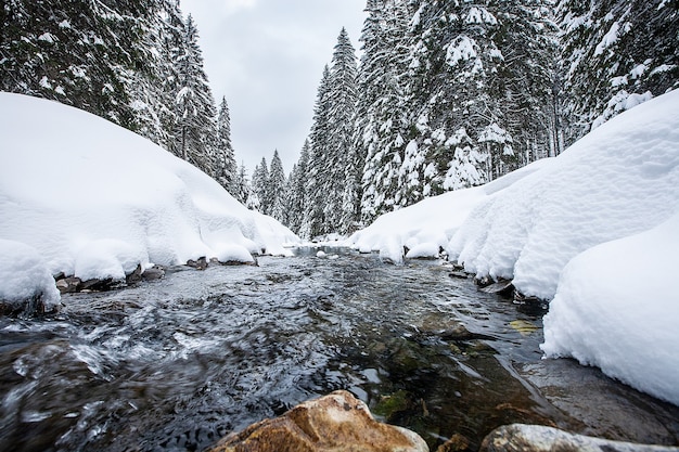 겨울 동안 그림 같은 숲에서 난류 강 급류입니다. 마법 같은 풍경
