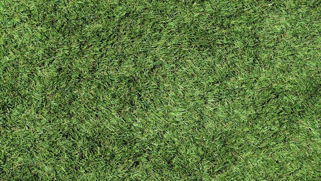 Turf surface texture