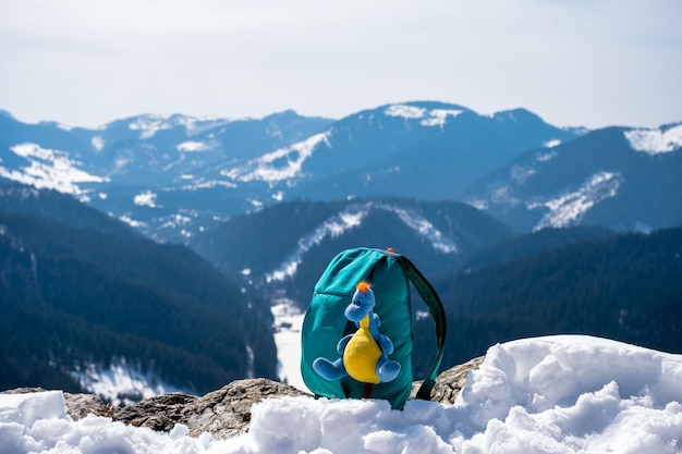 Turquoise Backpack in winter mountains