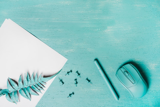 Turquoise colored pen; mouse; fern leaves and push pins on wooden surface