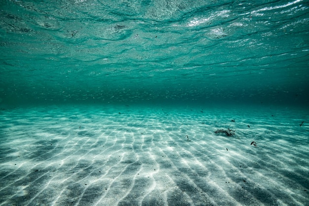 Turquoise underwater world texture background