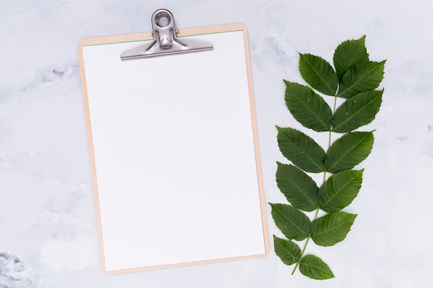 Free photo twig leaves with mock-up clipboard