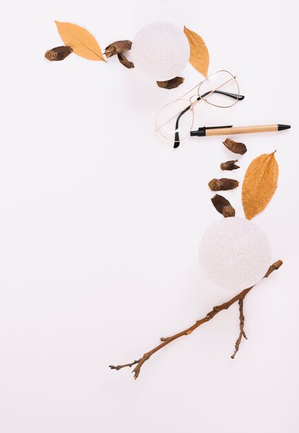 Twig near foliage and eyeglasses 