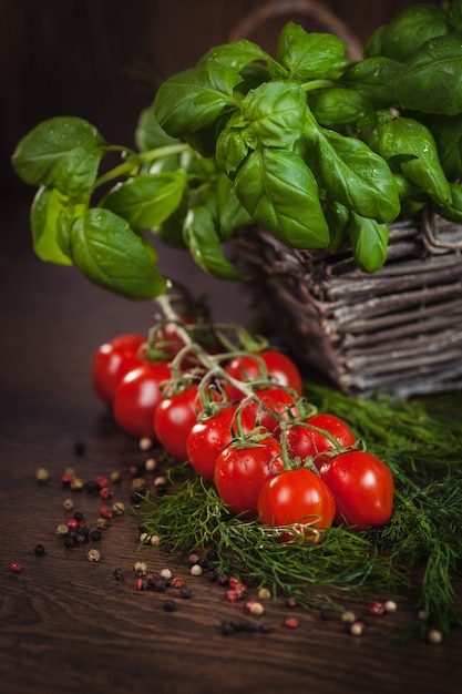 Twig of ripe tomatoes between green herbs