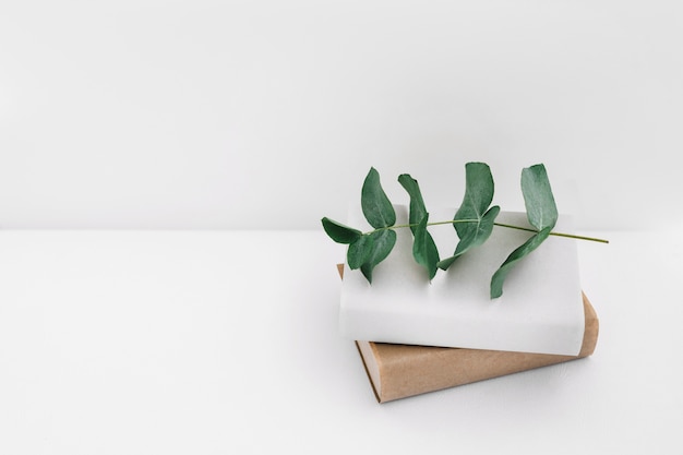 Twig on two books against white background