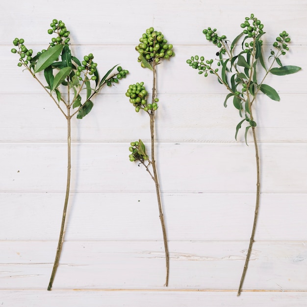 Twigs on wooden tabletop