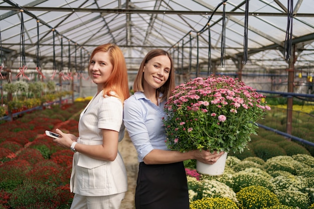 Two adorable ladies posing with a bunch of pink chrysanthemums in a beautiful blooming green house with glass roof.