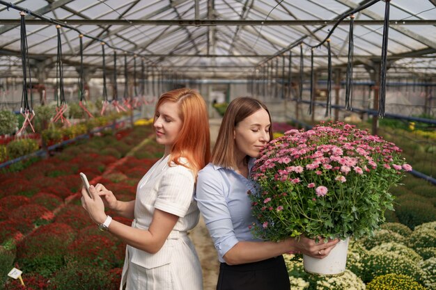 Two adorable ladies posing with a bunch of pink chrysanthemums in a beautiful blooming green house with glass roof.