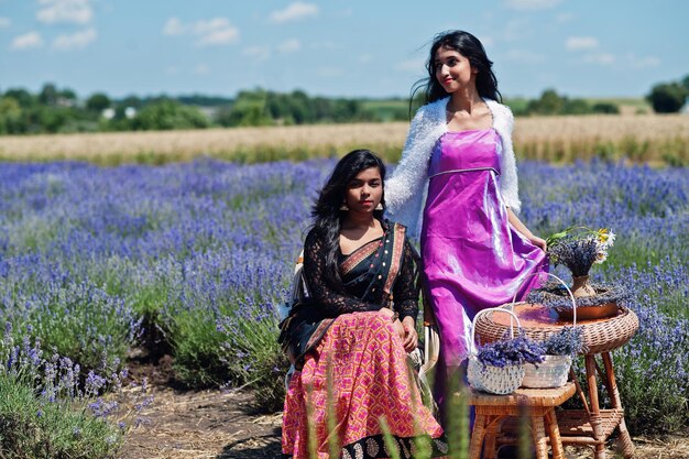 두 아름다운 인도 소녀는 보라색 라벤더 밭에서 사리 인도 전통 드레스를 입습니다.