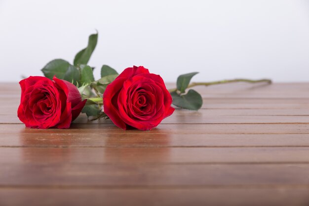 Two beautiful red roses