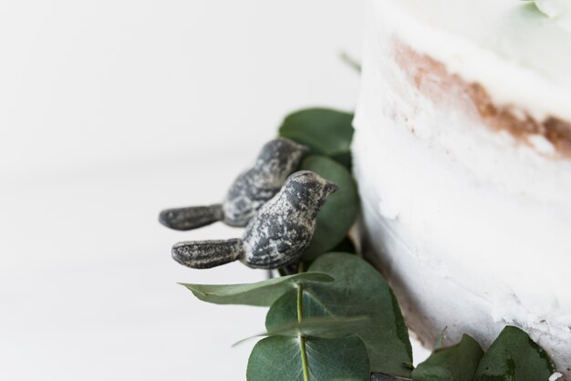 Two birds near the white cake and leaves on white background