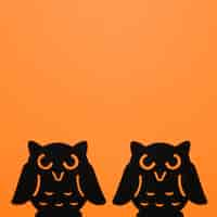 Free photo two black owls