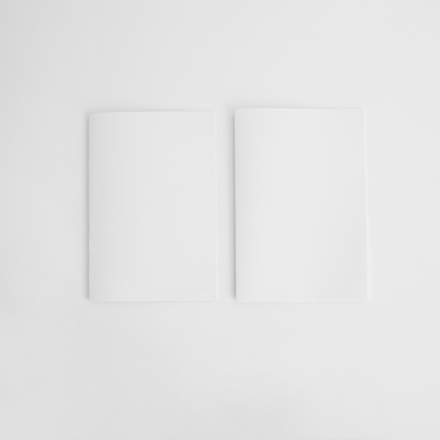 Two blank brochures