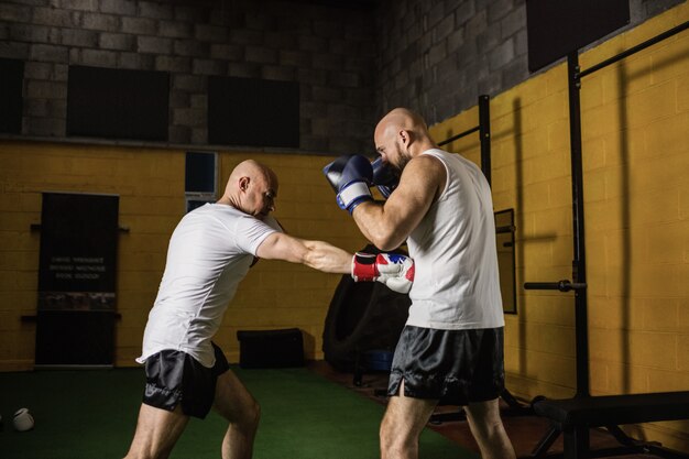 Two boxer practicing boxing in fitness studio