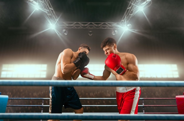 Два боксера дерутся на профессиональном боксерском ринге