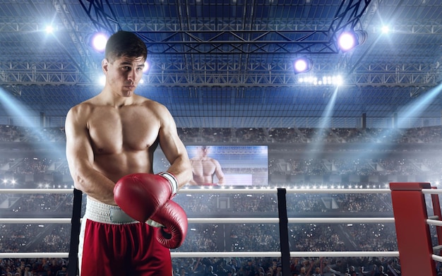 Free photo two boxers fighting on professional boxing ring