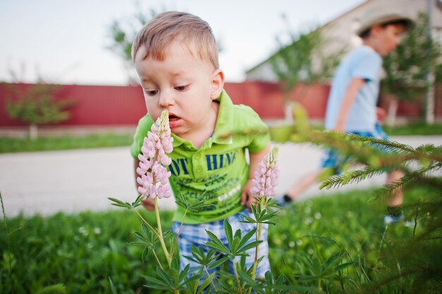 Two brothers sniffing flowers little nature researchers