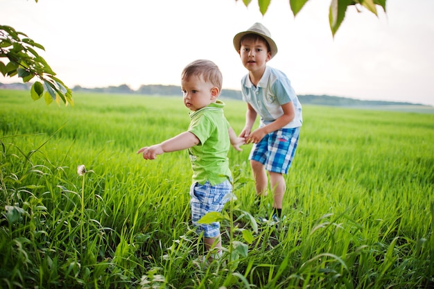 Два брата гуляют, держась за руки на зеленом поле, любовь брата
