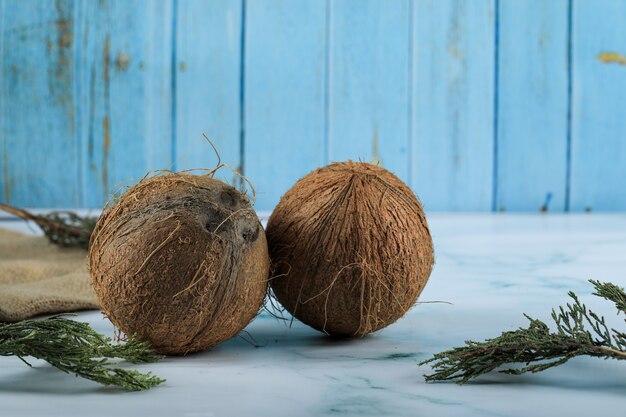 Two brown coconut fruits on marble surface