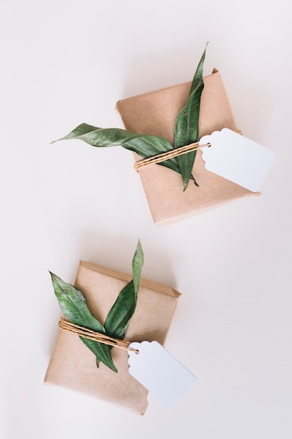 Two brown wrapped gift boxes with blank tag and green leaves on white background