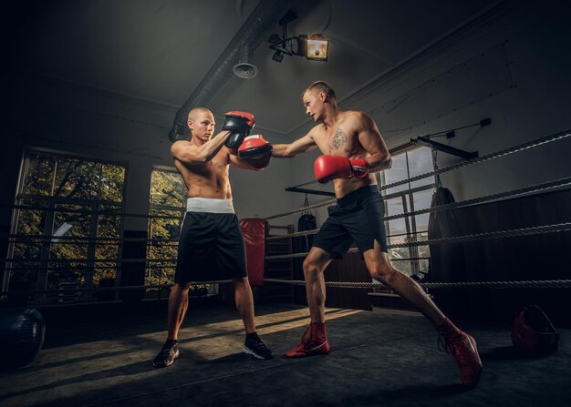 Two brutal sporty boxers have a sparring on boxing ring at dark gym.