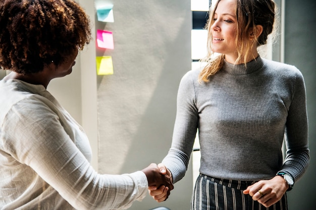 Two business people shaking hands