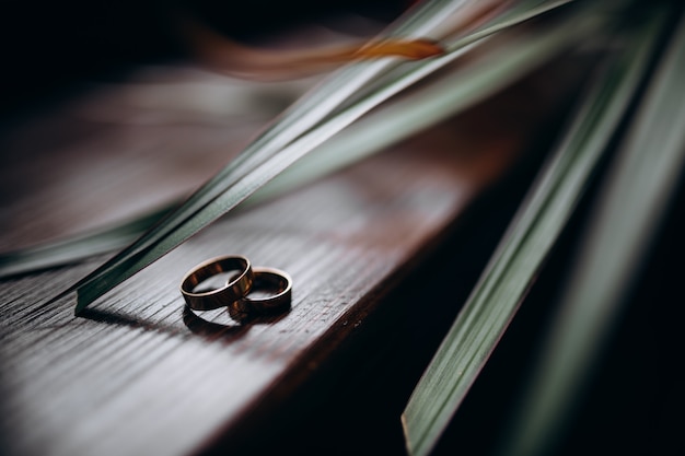 Two classy golden rings lie under green leaves on a wooden table