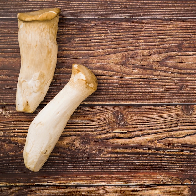 Two collected mushrooms 