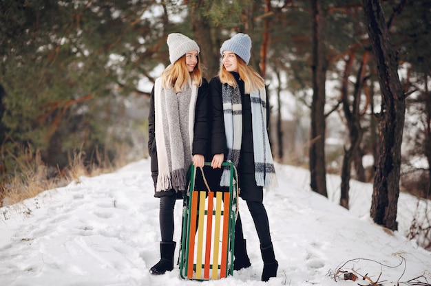 Two cute girls in a winter park