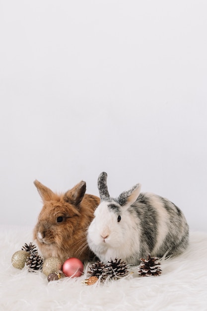 Два милых кролика с рождественским украшением