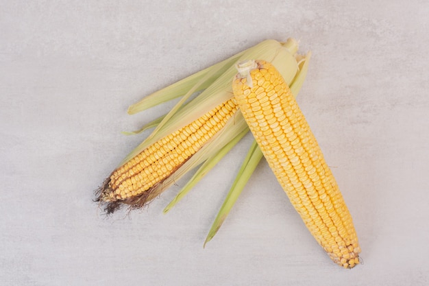 Free photo two ears of fresh corns on white.