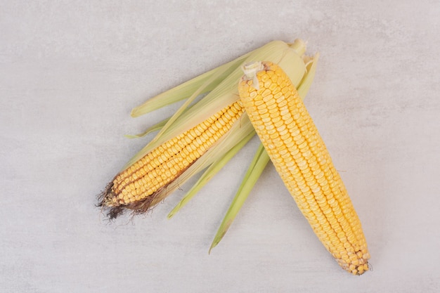 Two ears of fresh corns on white.