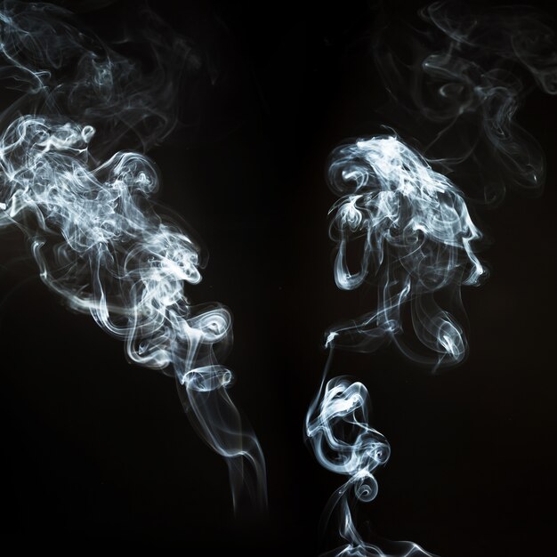 Two fantastic silhouettes of smoke