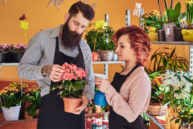 two florists, beautiful redhead female and bearded male wearing uniforms working in flower shop.