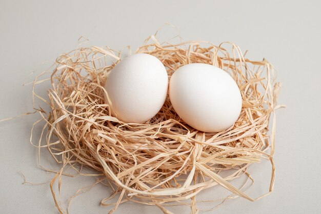 Two fresh chicken white eggs on hay .