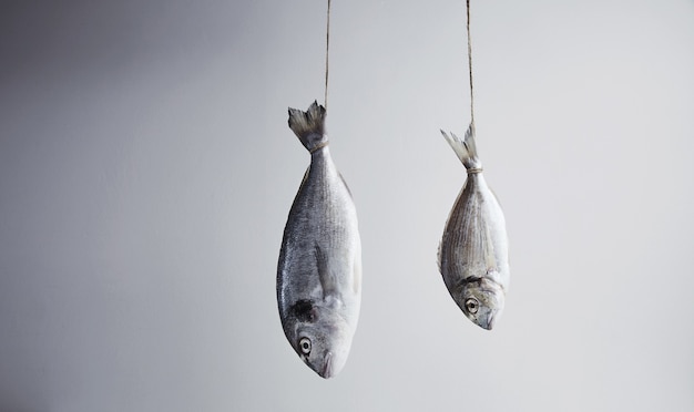 Free photo two fresh sea breams hanged for tail on rope