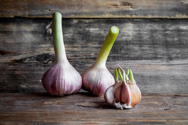 Two garlic with ripped off one near them on dark wooden background, side view.