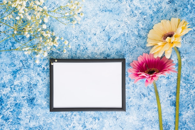 Two gerbera flowers with blank frame