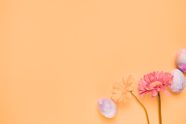 Two gerbera flowers with easter eggs on the corner of the yellow backdrop