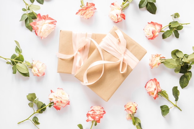 Two gift boxes surrounded with beautiful roses on white backdrop