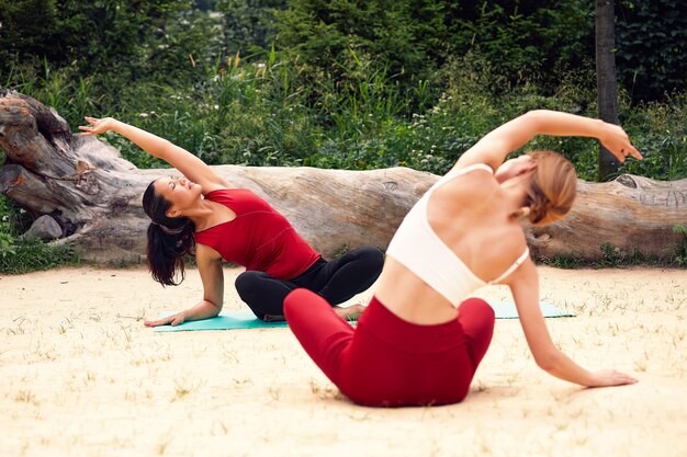 Две девушки занимаются йогой в парке на песке среди деревьев. международная пара девушек делает упражнения на природе, здоровый образ жизни, медитацию, единение с природой.